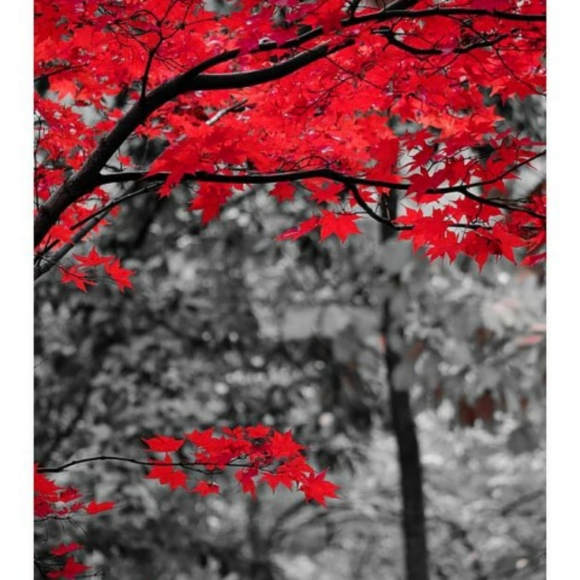 Meet your Posher, Teej - Picture 1 of 1